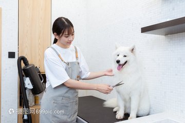 泰达币钱包苹果版